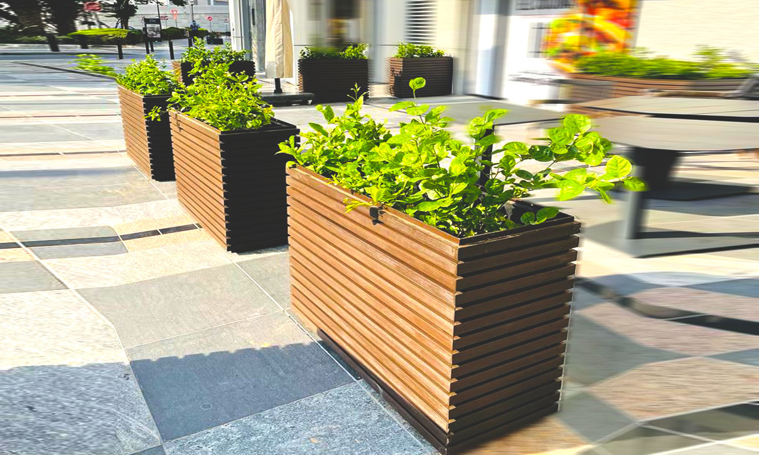 WPC Planter Box Dubai Mall